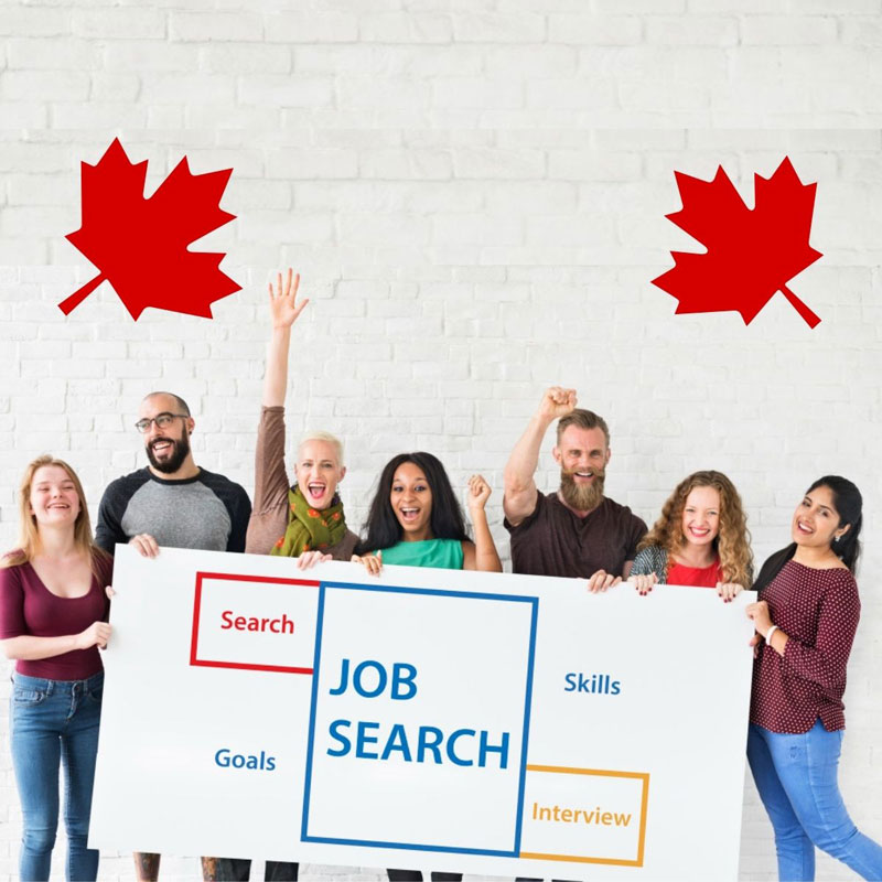 Job Seekers Set Their Sights on Canada: The New Land of Opportunity                                 