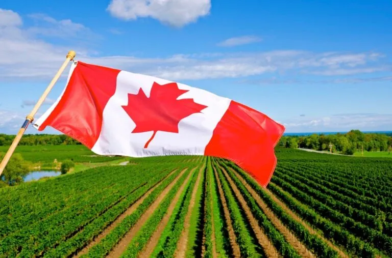 Agri-Food Pilot Closes as Canada Caps Applications for Permanent Residency