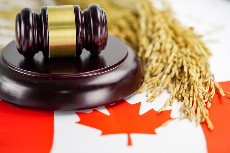 Extended Relief: New Judicial Review Timelines for Immigrants in Canada