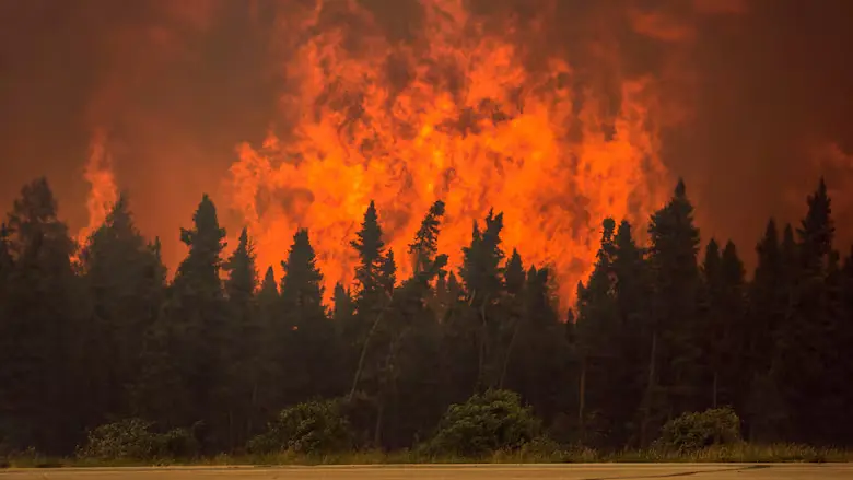 Saskatchewan Wildfires 2025: What You Need to Know and How Communities Are Coping